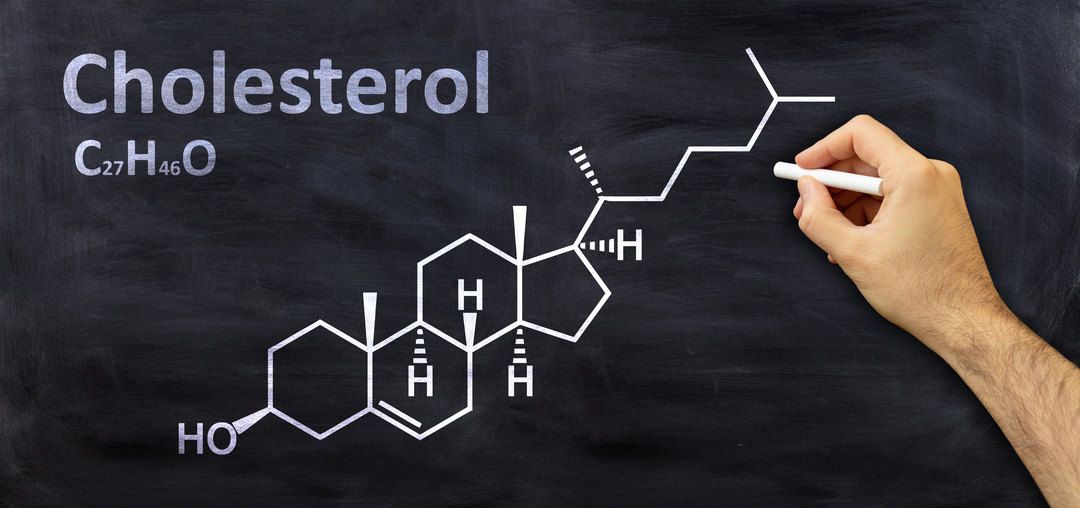 Cardiologist Visit with 300+ Cholesterol on Low-carb Diet